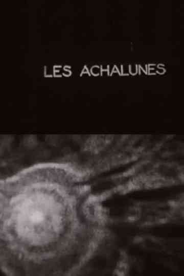 The Achalunés Poster