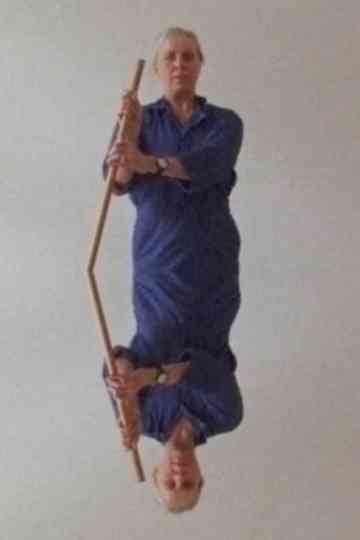 Time Reversal Symmetry Poster