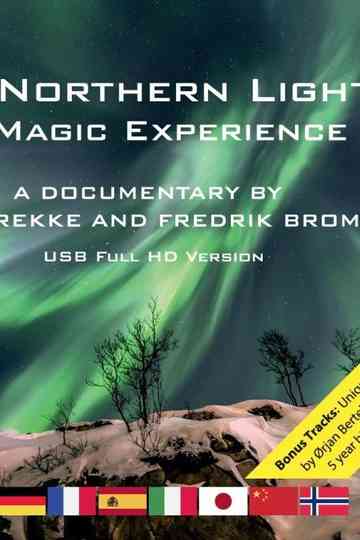 Northern Lights: A Magic Experience Poster