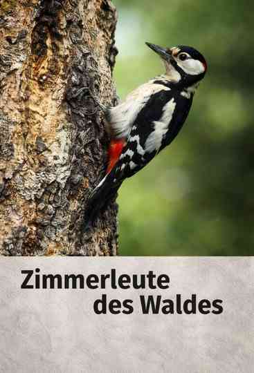 Woodpecker Poster