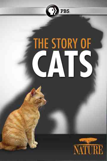 The Story of Cats Poster