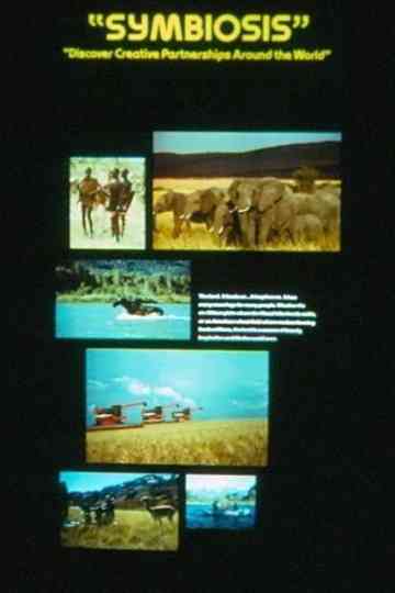 Symbiosis Poster