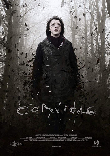 Corvidae Poster