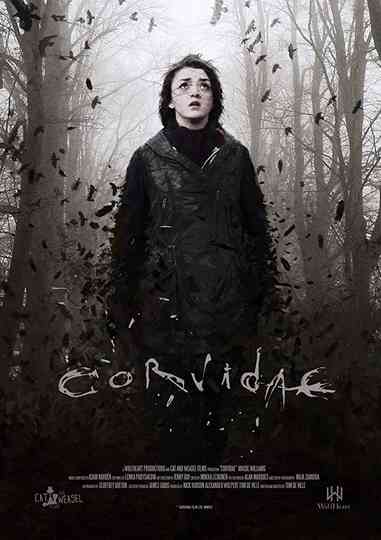 Corvidae Poster