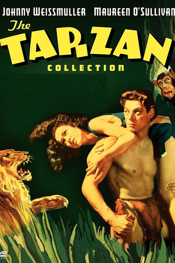 Tarzan Silver Screen King of the Jungle Poster