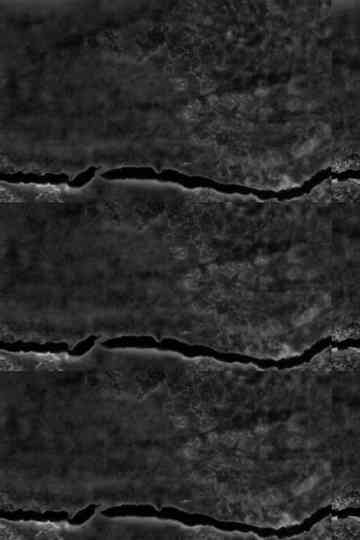 A Radical Film Poster