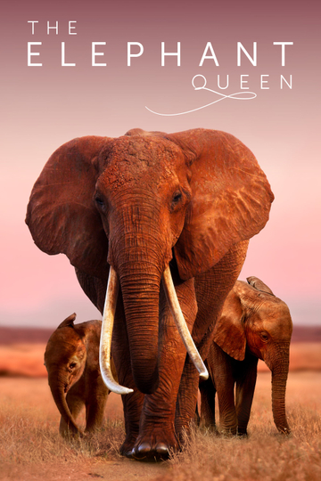 The Elephant Queen Poster