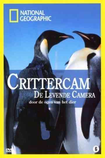 Crittercam Poster