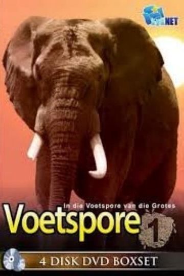 In Die Voetspore van die Grotes