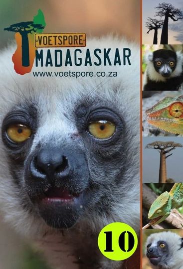 Madagaskar