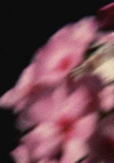 Five Year Diary, Reel 80: Emily Died (May 14–September 26, 1994) Poster