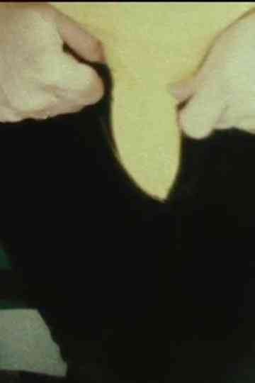 Five Year Diary, Reel 1: The Beginning Thanksgiving (November 3–December 13, 1981) Poster