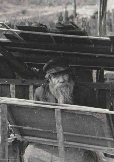 Ivan Selivanov Poster