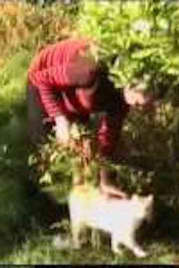 Miles 31052007 Poster