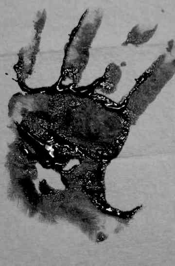 The Long Wash Poster