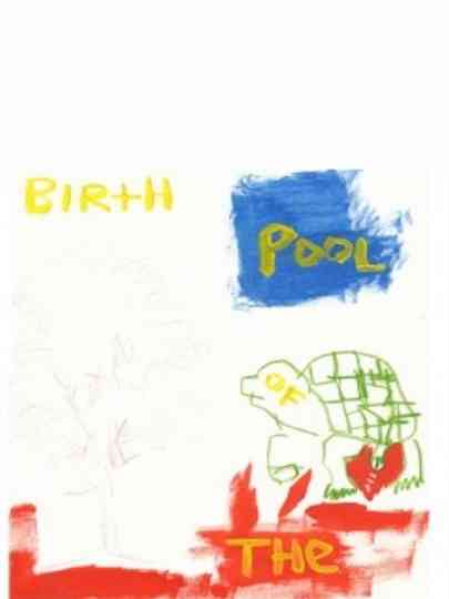 Birth of the Pool Poster