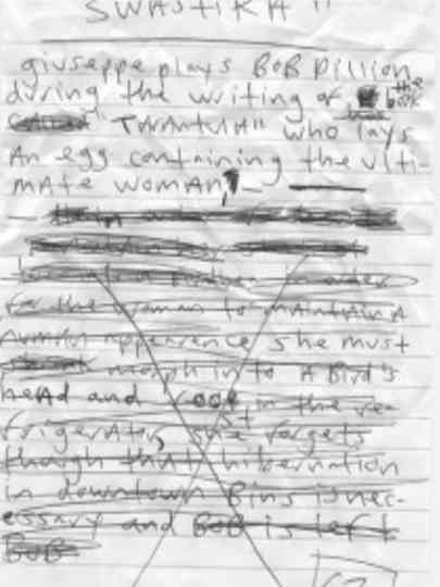 Pregnant With a Swastika Poster