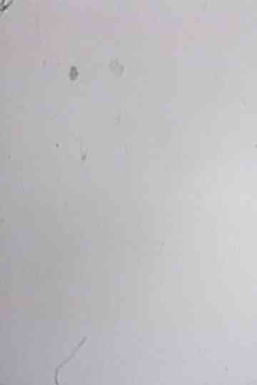 One Frame Duration Poster