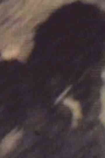 I Saw the Shadow Poster