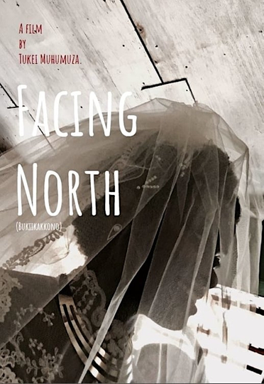 Facing North Poster