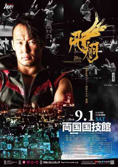NOAH Naomichi Marufuji 20th Anniversary Show Poster
