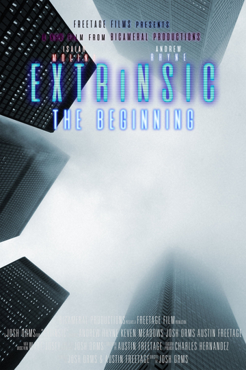 Extrinsic The Beginning Poster