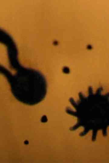 Bark You Mongrel, Raise Hell My Pearl Poster