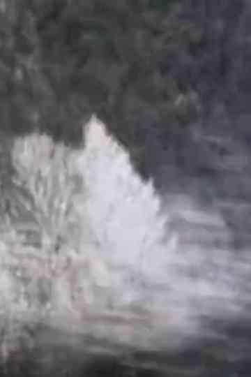 Chronographies Poster