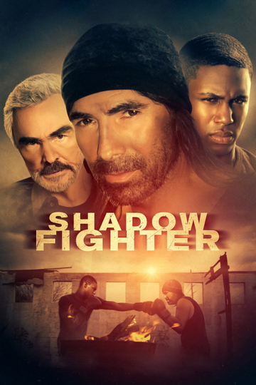 Shadow Fighter Poster