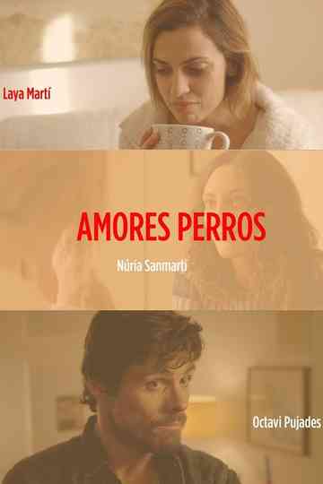 Amores perros Poster