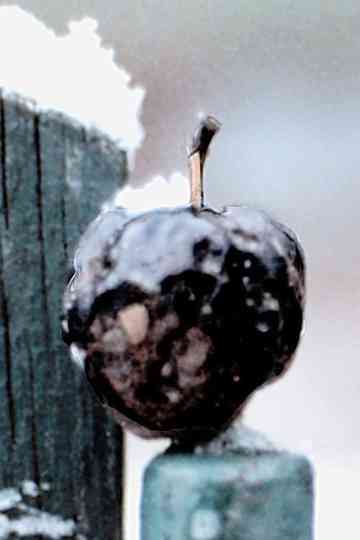 Light Years Expanding Poster