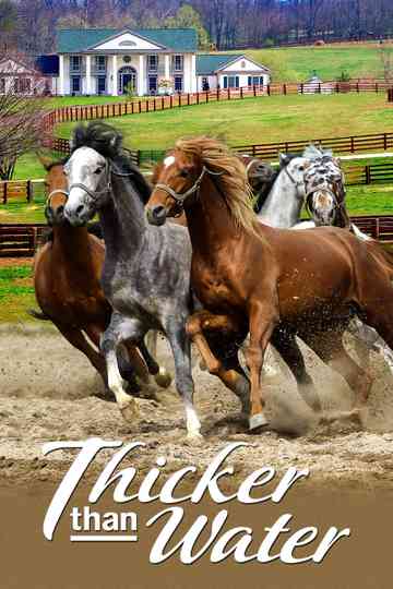 Thicker Than Water Poster