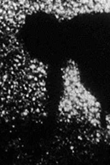 The Passage of the Bride Poster