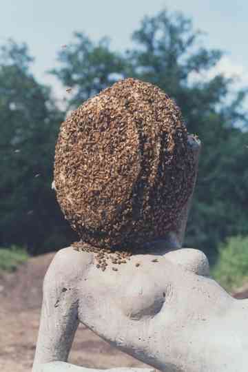 A Way in Untilled Poster