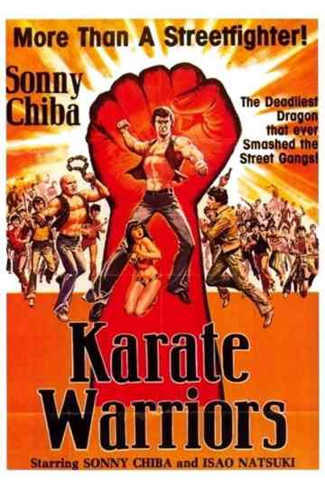 Karate Warriors Poster