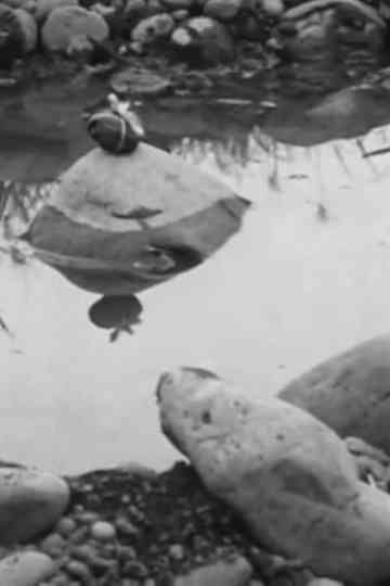 Cinema of Stuffing Poster