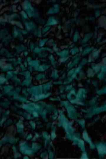 The knot of meridian Poster