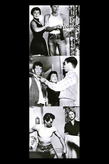 Come Back Little Shiksa Poster