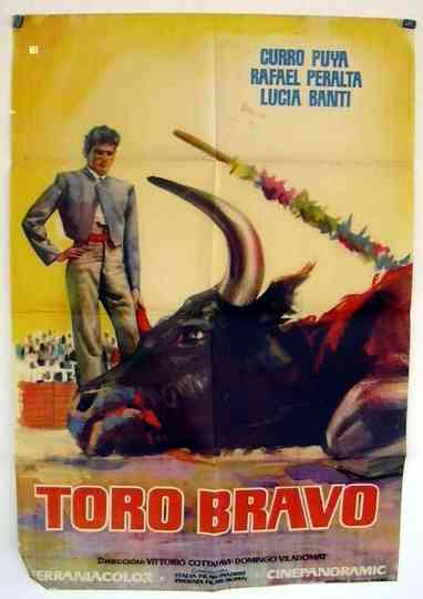 Toro bravo Poster