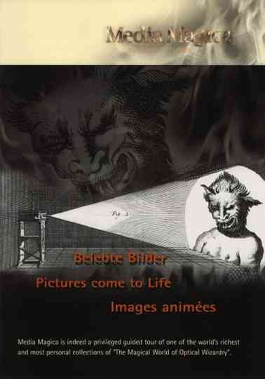 Pictures Come to Life Poster