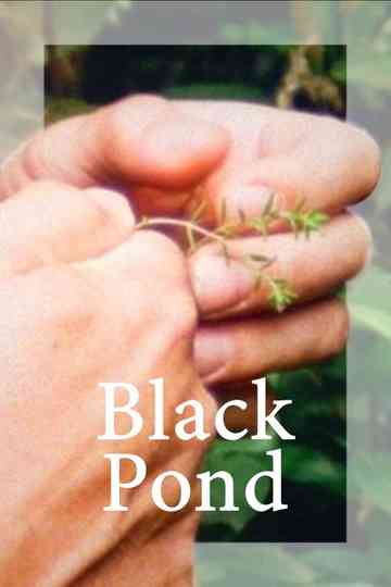 Black Pond Poster
