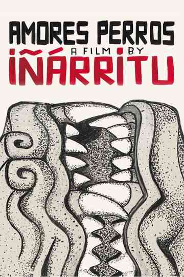 Amores Perros Poster