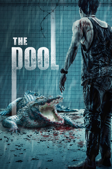 The Pool Poster