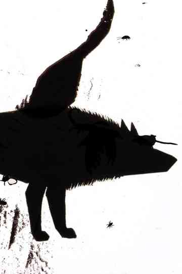 From Under Which Rock Did They Crawl Out Poster