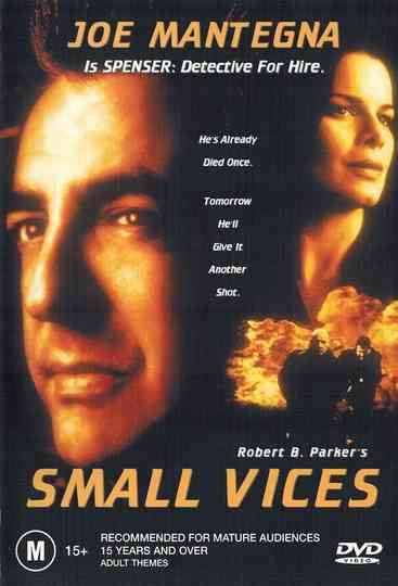 Small Vices Poster