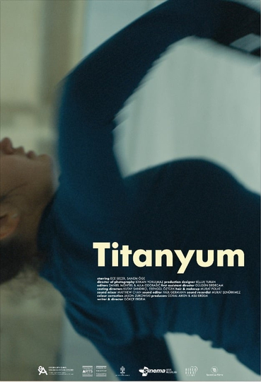 Titanium Poster