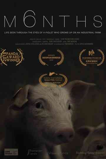M6NTHS Poster