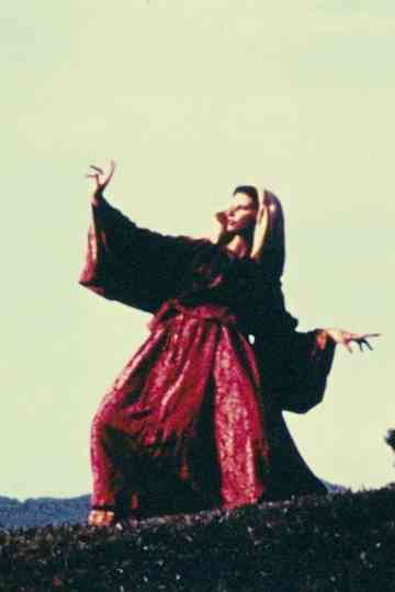 Baroque Statues Poster