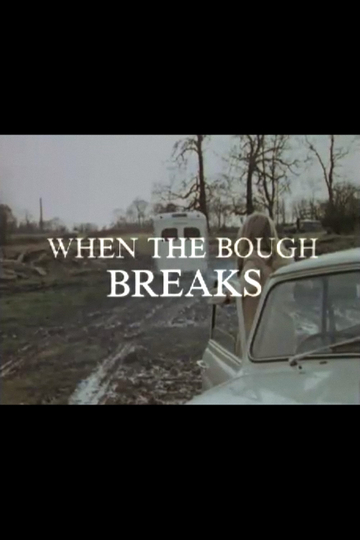 When the Bough Breaks Poster