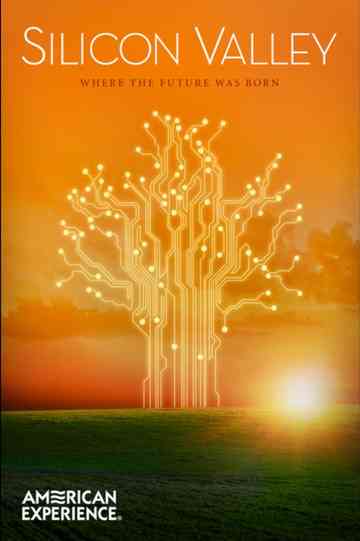 Silicon Valley Poster